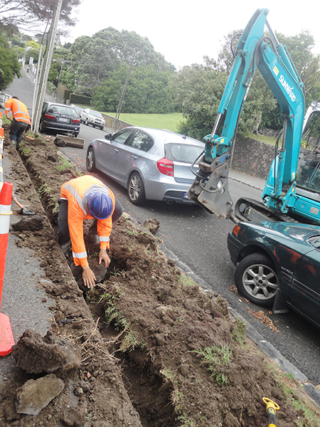 尊龙凯时ag挖掘机脱销新西兰