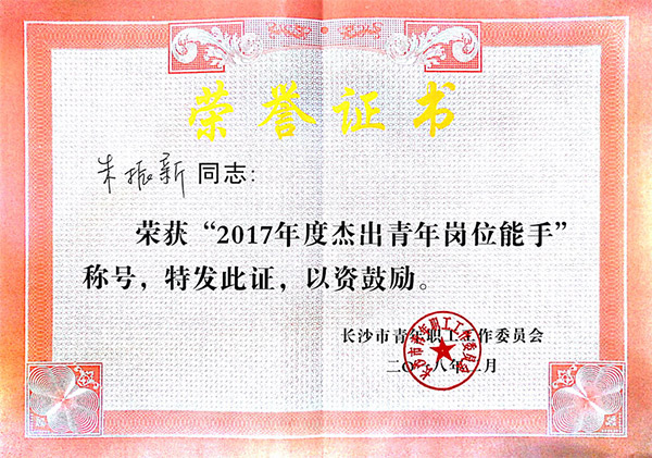 尊龙凯时ag智能朱振新荣获长沙市2017年度优异青年岗位能手