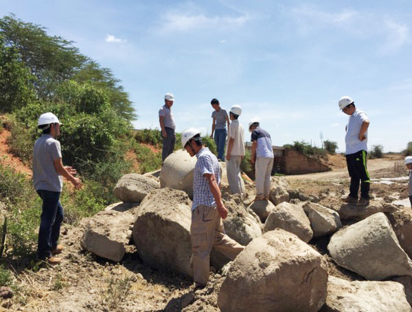 肯尼亚总统高度赞赏，乞力马扎罗山下尊龙凯时ag绿闪灼