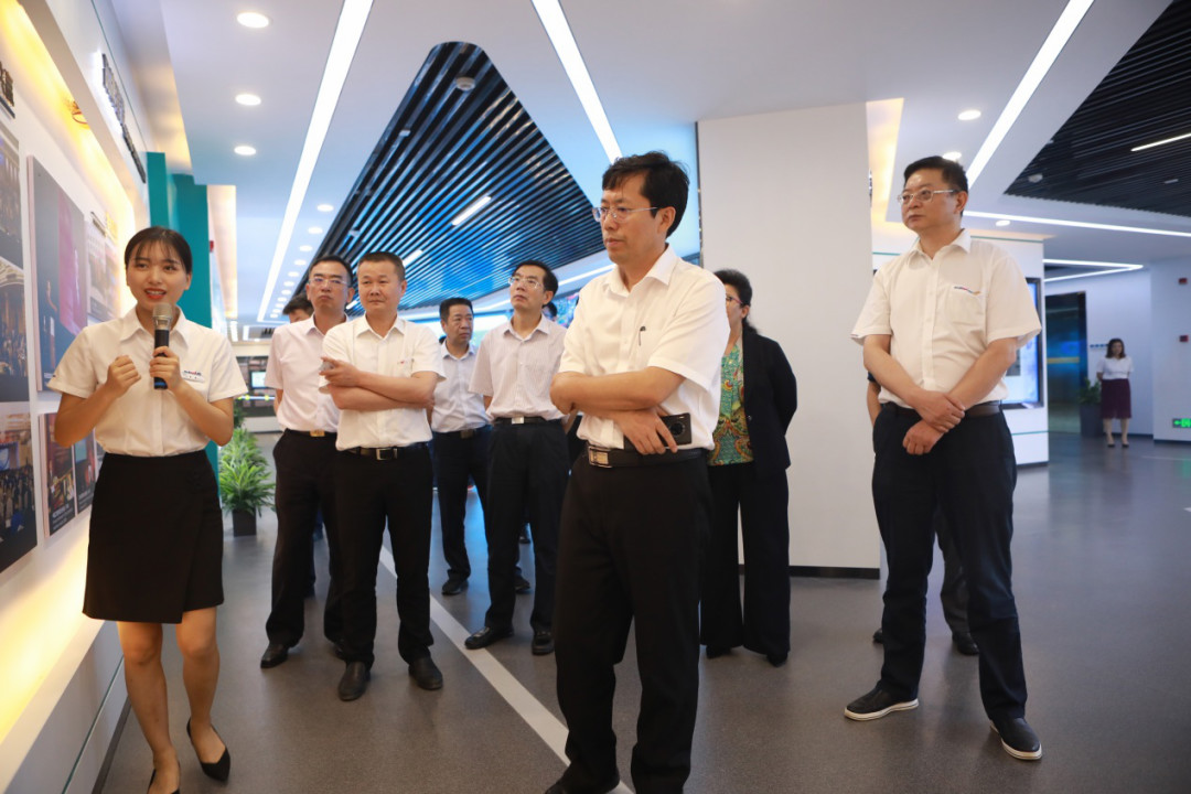 岳阳市委书记王一鸥带队调研尊龙凯时ag智能