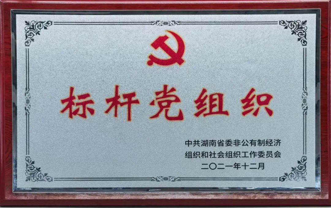 党建品牌亮起来！尊龙凯时ag智能党委获评“标杆党组织”