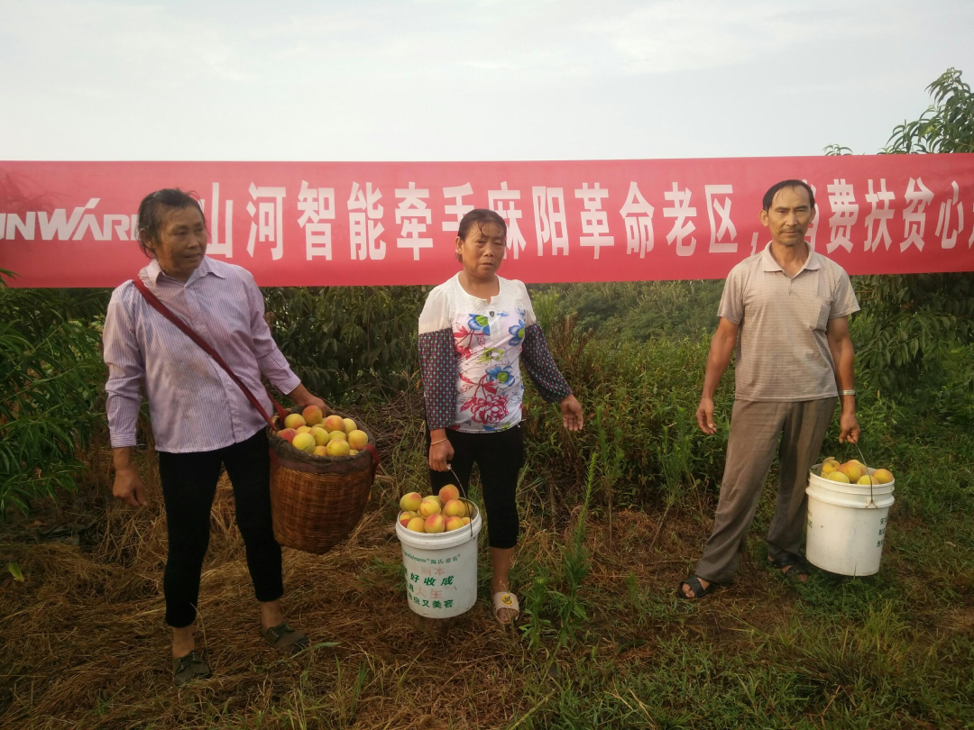 点赞！尊龙凯时ag智能乐成入选“上市公司墟落振兴优异实践案例”
