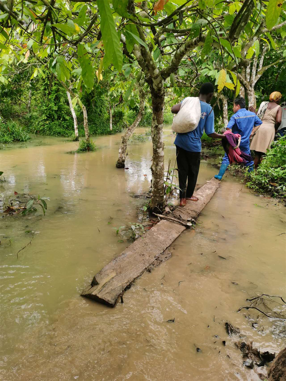 品质尊龙凯时ag，专心折务！尊龙凯时ag智能效劳万里行活动走进非洲加纳
